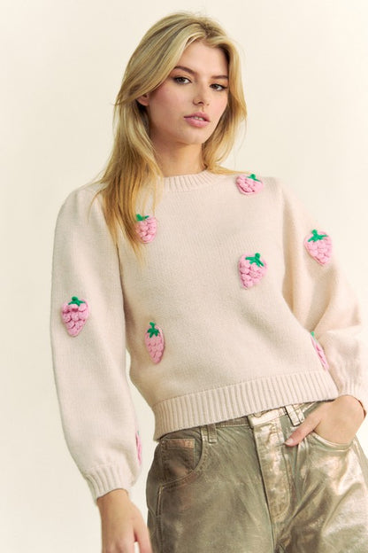 Davi & Dani Crochet Strawberry Round Neck Sweater